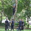 Video: Police Remove Community Gardens Activist from Tree